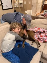 Reunited Female Dog last seen Sunset falls drive, Wake Forest, NC 27587