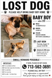 Lost Male Dog last seen Antione / 290, Houston, TX 77092