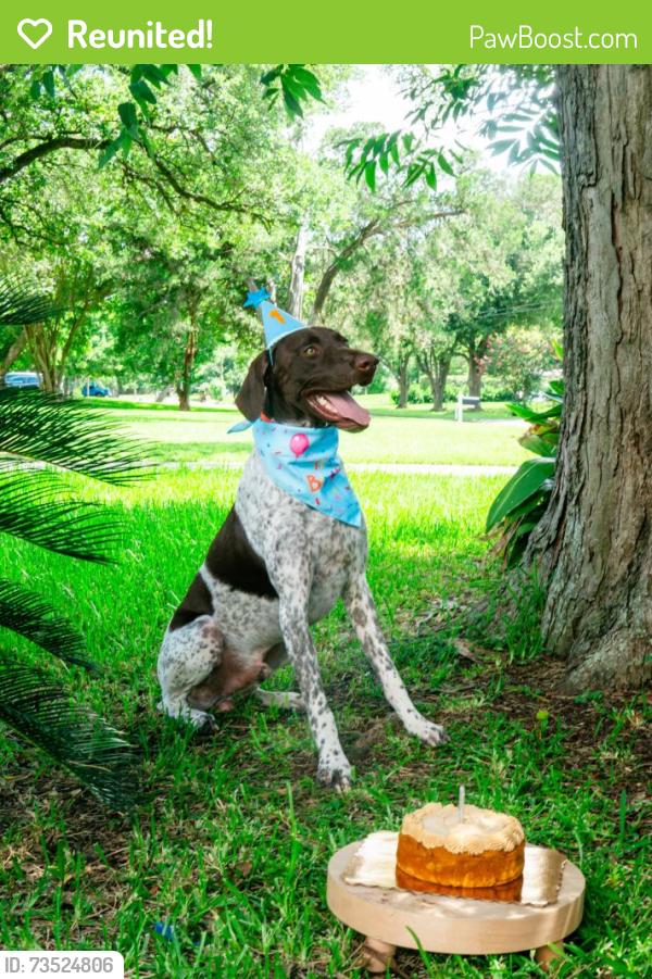 Reunited Male Dog last seen Lakewood Ave., Baytown, TX 77520