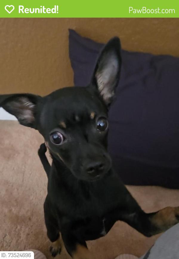 Reunited Male Dog last seen Main & Madison, Orangevale, CA 95662