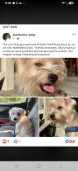 Lost Male Dog last seen Tedford rd, Knoxville, TN 37922