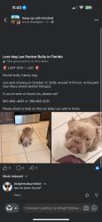 Lost Male Dog last seen Cross Prairie Pkwy, Kissimmee, FL 34744