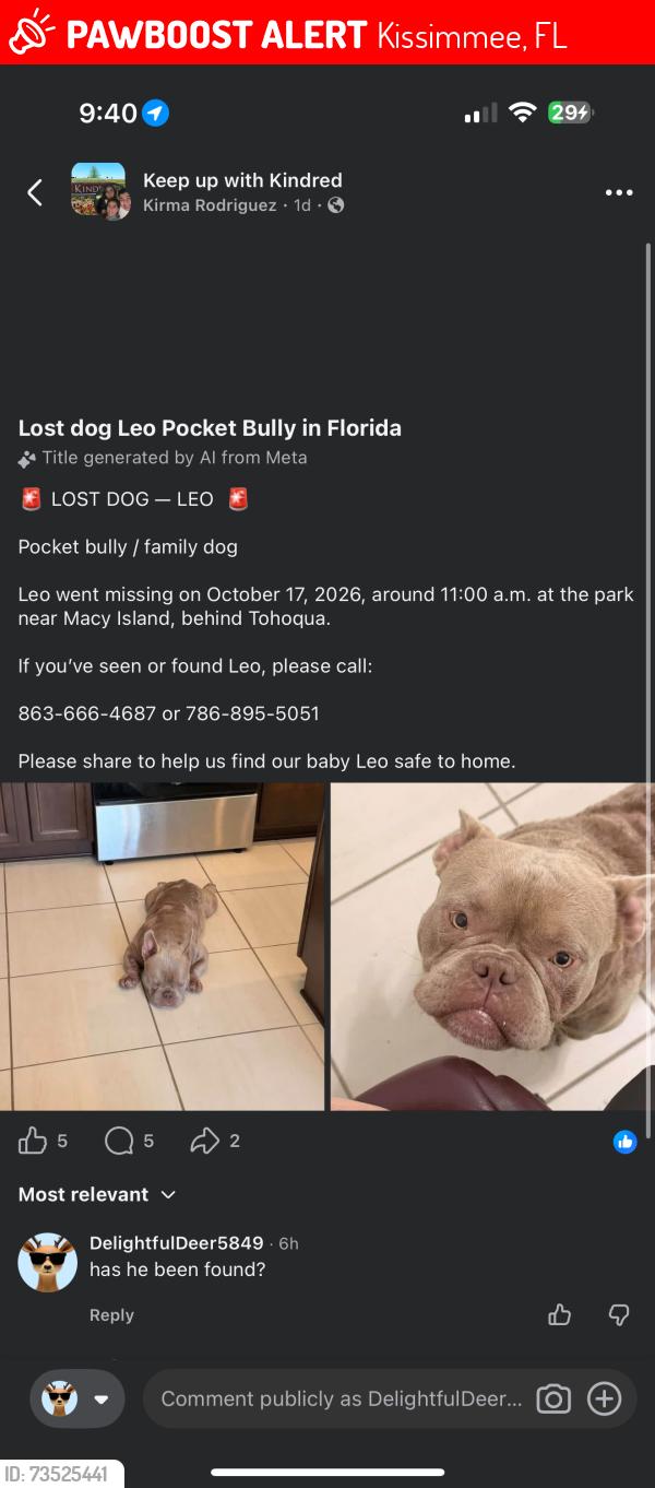 Lost Male Dog last seen Cross Prairie Pkwy, Kissimmee, FL 34744