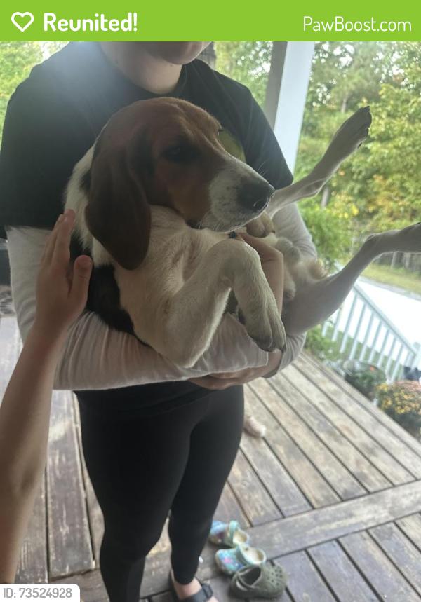 Reunited Male Dog last seen Kelly Road Carthage, Carthage, NC 28327