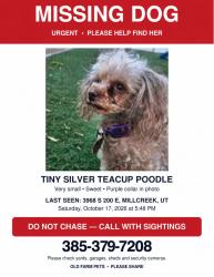 Reunited Female Dog last seen Near S 200 E, Millcreek, UT 84107