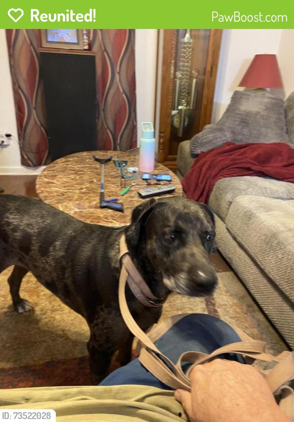 Reunited Male Dog last seen Parkview, Lake Norman of Catawba, NC 28673