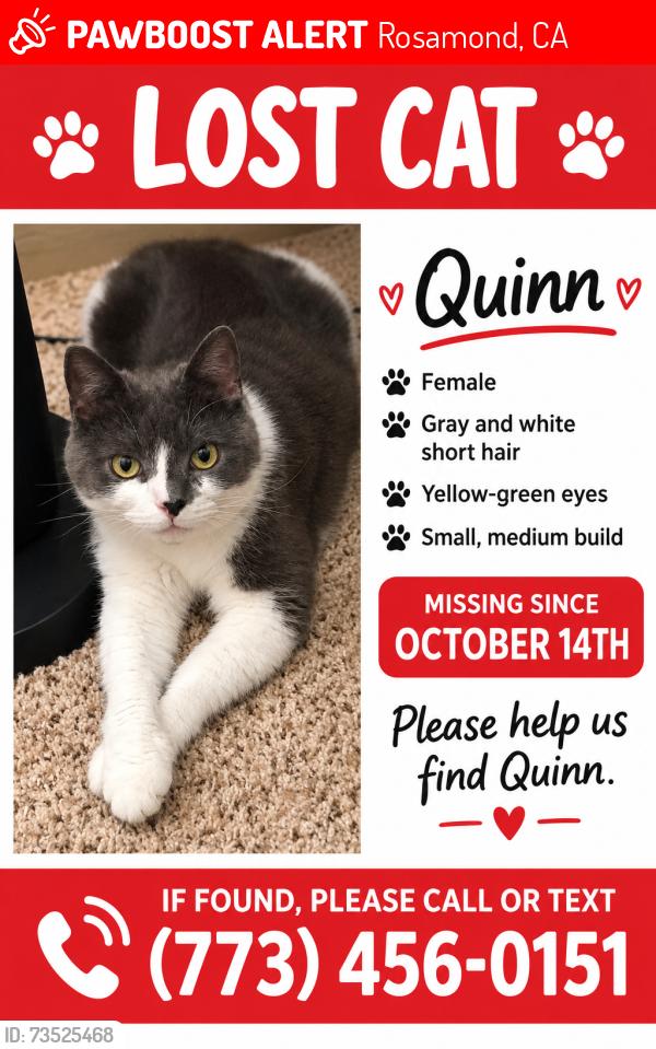 Lost Female Cat last seen 35th and firebush, Rosamond, CA 93560