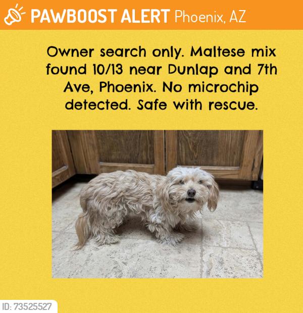 Found/Stray Unknown Dog last seen 7th Ave and Dunlap, Phoenix, AZ 85020