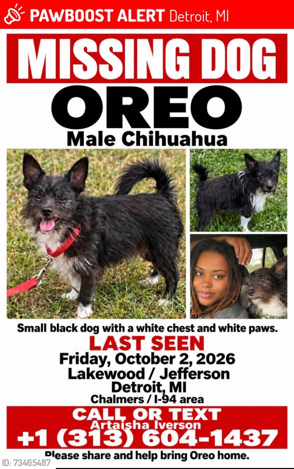 Lost Male Dog last seen Lakewood and Jefferson, Detroit, MI 48215