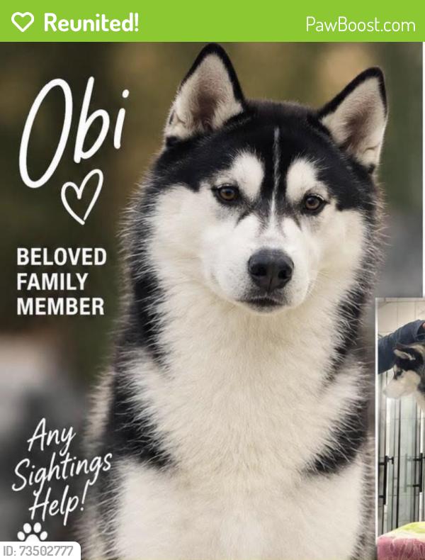 Reunited Male Dog last seen Sunrise Rd, Round Rock, TX 78665, Round Rock, TX 78664