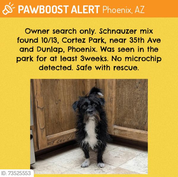 Found/Stray Unknown Dog last seen 35th Ave and Dunlap, Phoenix, AZ 85051