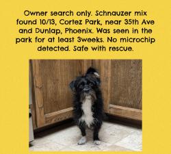 Found/Stray Unknown Dog last seen 35th Ave and Dunlap, Phoenix, AZ 85051