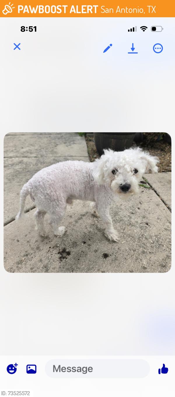 Found/Stray Male Dog last seen Amhurst subdivision, San Antonio, TX 78245