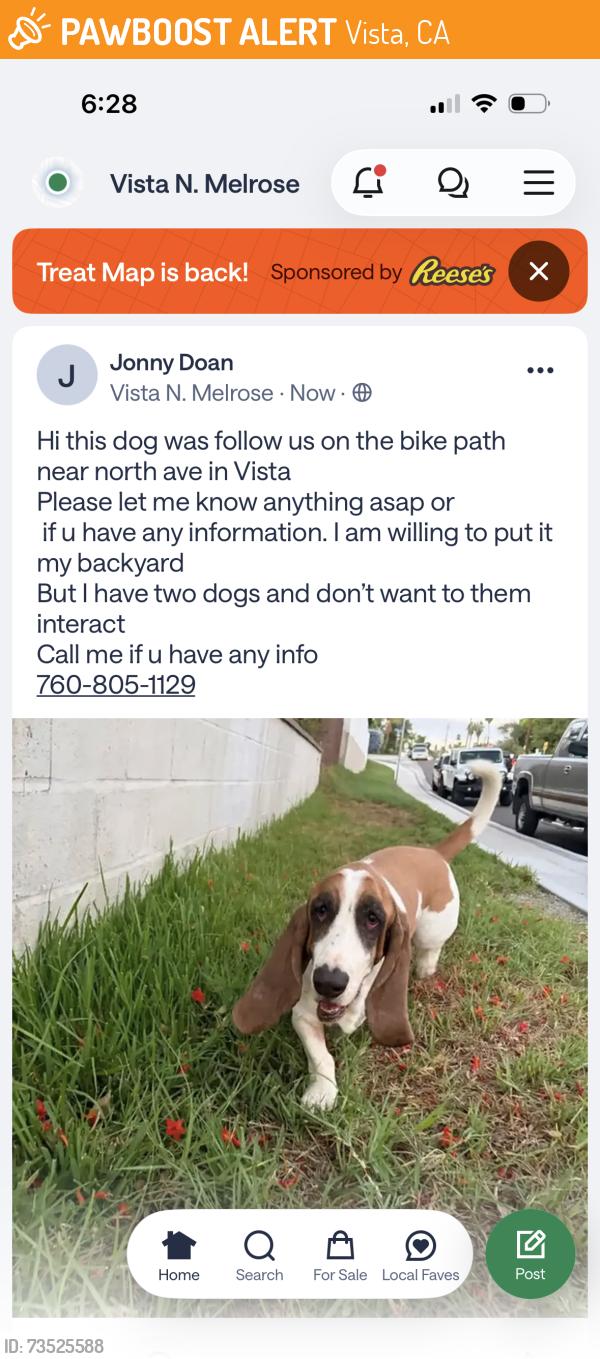 Found/Stray Unknown Dog last seen Bobolink and north ave, Vista, CA 92083