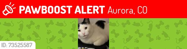 Lost Female Cat last seen 19th and newark, Aurora, CO 80010