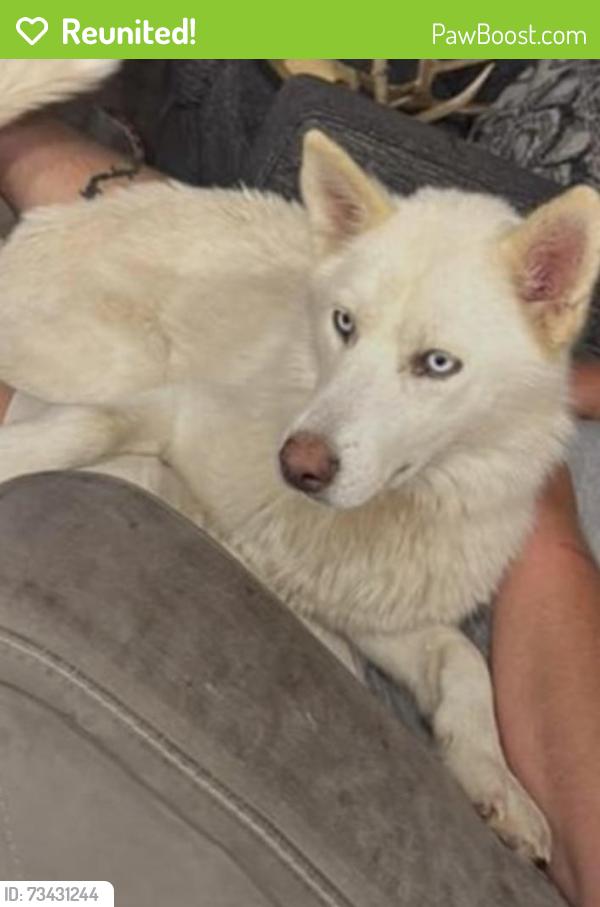 Reunited Female Dog last seen Near CR1671, Burlington, TX 76570