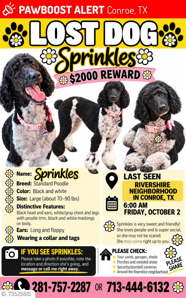 Lost Female Dog last seen Gladsdell and 45, Conroe, TX 77301