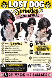 Lost Female Dog last seen Gladsdell and 45, Conroe, TX 77301
