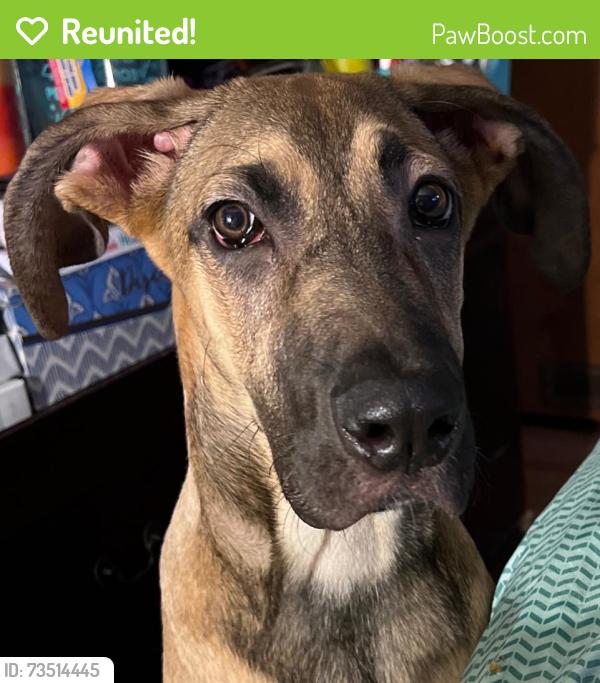 Reunited Female Dog last seen Near JW Seabrook School, Fayetteville, NC 28312