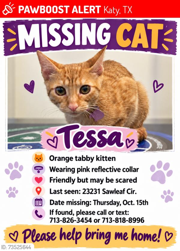Lost Female Cat last seen Westwood Gymnastics, Katy, TX 77494