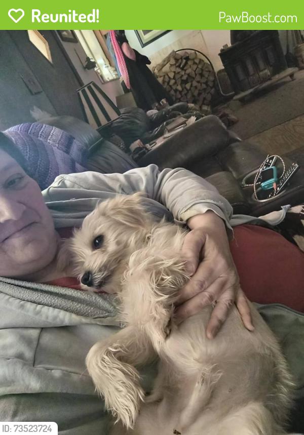 Reunited Male Dog last seen Keller Bend Rd and S. Northshore Dr, Knoxville, TN 37919