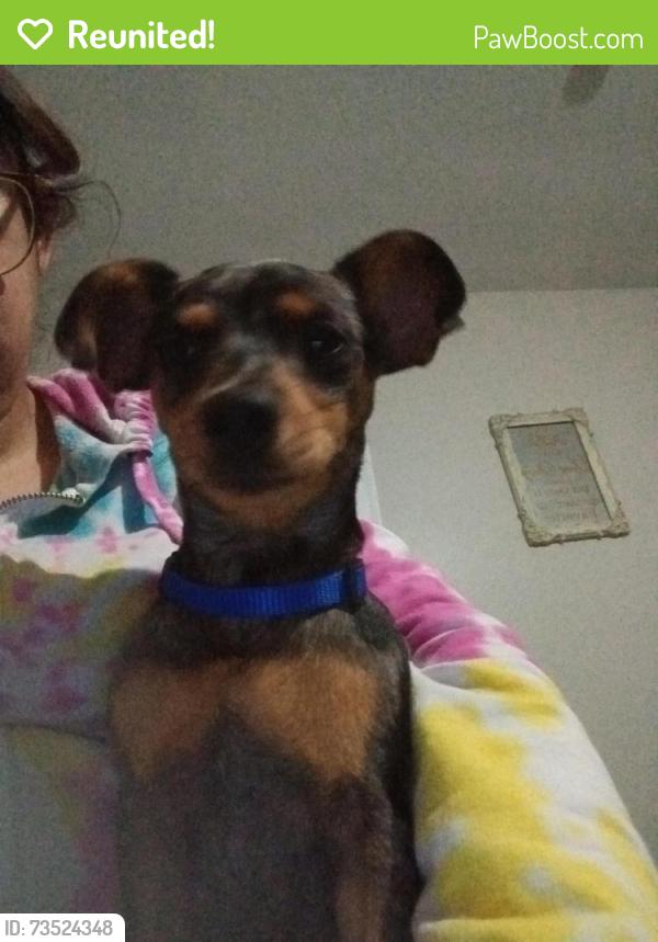 Reunited Male Dog last seen College Ave. And Biddison, Fort Worth, TX 76110