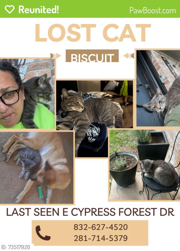 Reunited Male Cat last seen E Cypress Forest and Grant, Houston, TX 77070