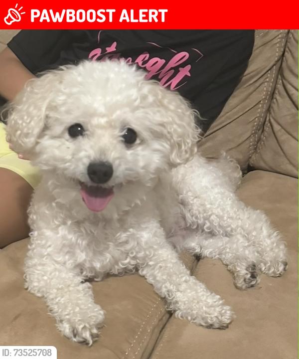 Lost Male Dog last seen St. Johns Parkway, St. Johns County, FL 32092