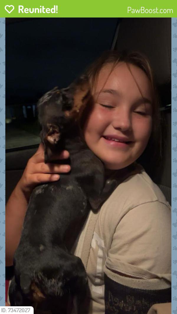 Reunited Female Dog last seen West Tarpon / Linton ln, Port Charlotte, FL 33952