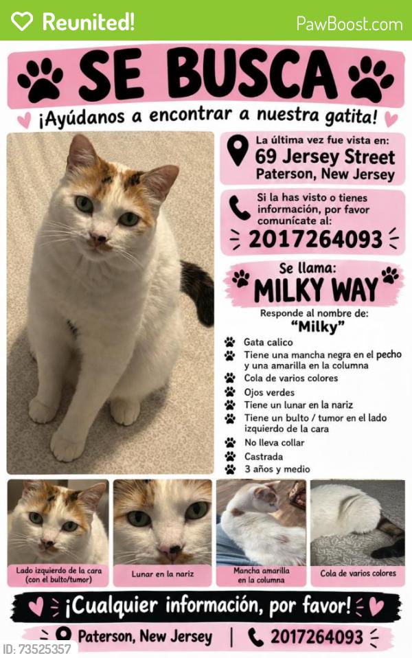 Reunited Female Cat last seen Near jersey st, Paterson, NJ 07501