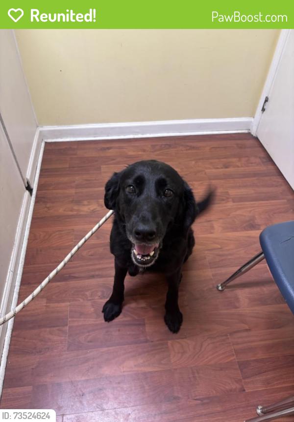 Reunited Female Dog last seen County road 45, Centre, AL 35960