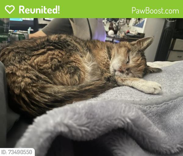 Reunited Female Cat last seen John C Fremont elementary, Taylorsville, UT 84123
