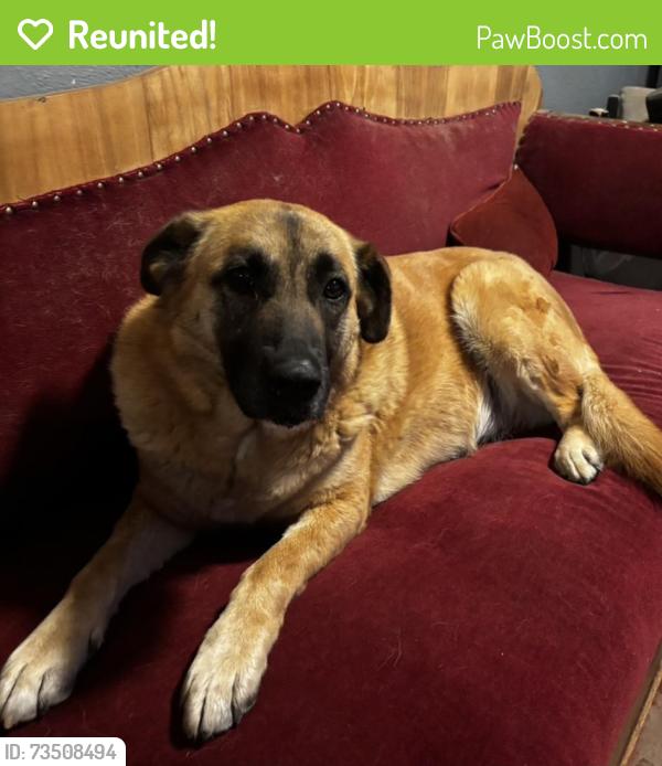Reunited Female Dog last seen Glen near bear creek, Merced, CA 95341