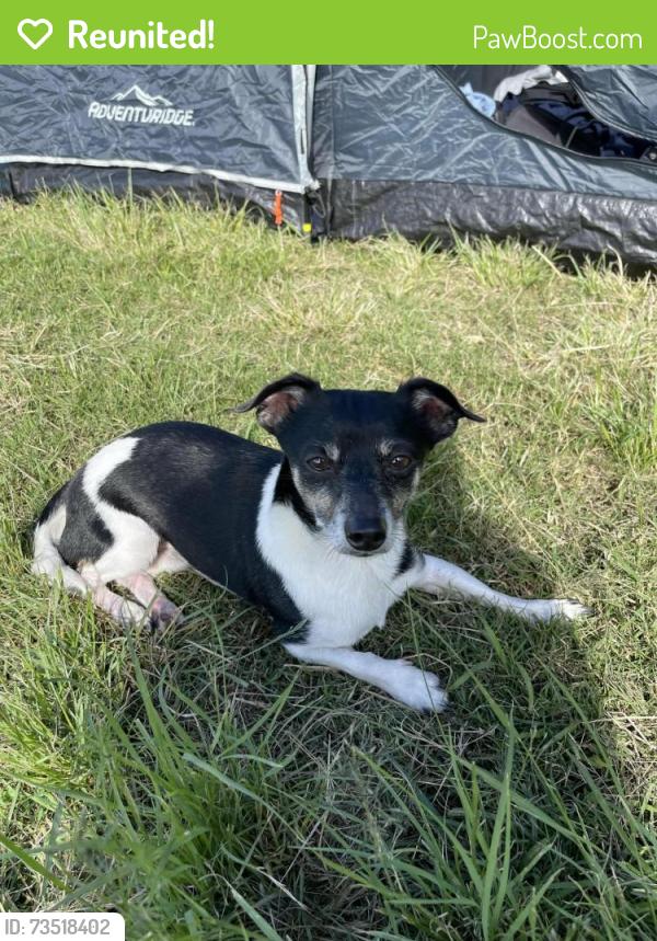 Reunited Male Dog last seen Fire Station, Durack, QLD 4077