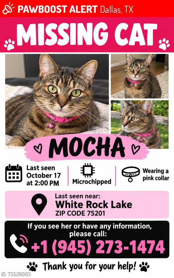 Lost Female Cat last seen White rock lake, Dallas, TX 75218