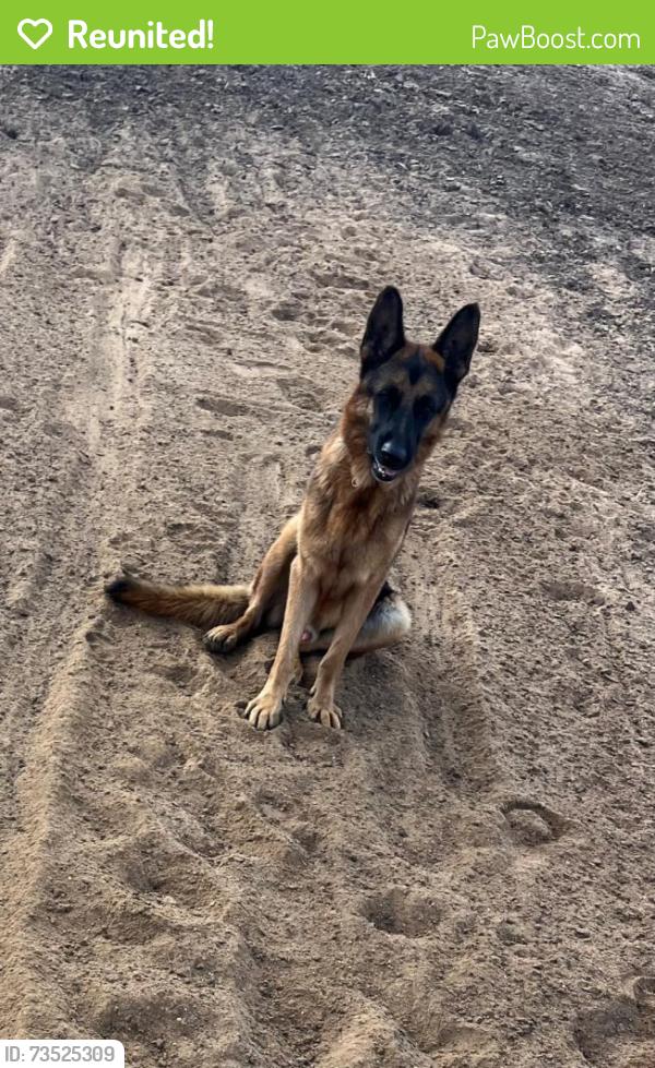 Reunited Male Dog last seen Fm 917 Joshua tx 76058, Joshua, TX 76058