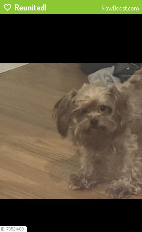 Reunited Male Dog last seen Edgewood and Begonia, Jacksonville, FL 32209