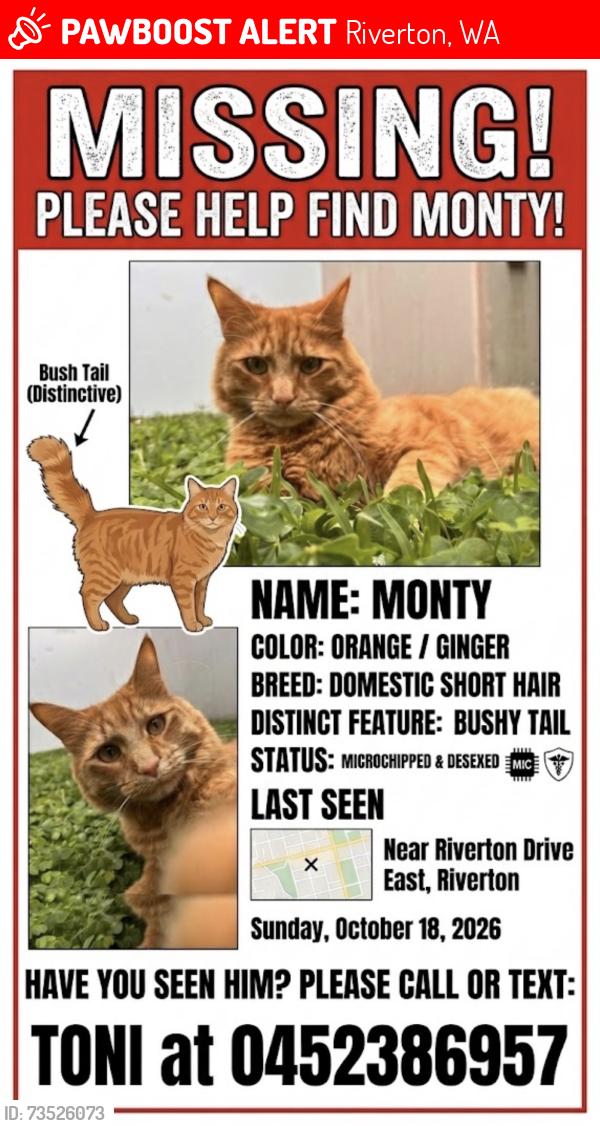 Lost Male Cat last seen Riverton Drive East, Riverton, WA 6148