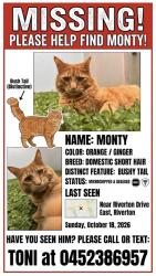Lost Male Cat last seen Riverton Drive East, Riverton, WA 6148