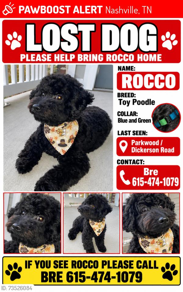 Lost Male Dog last seen parkwood, Nashville, TN 37207