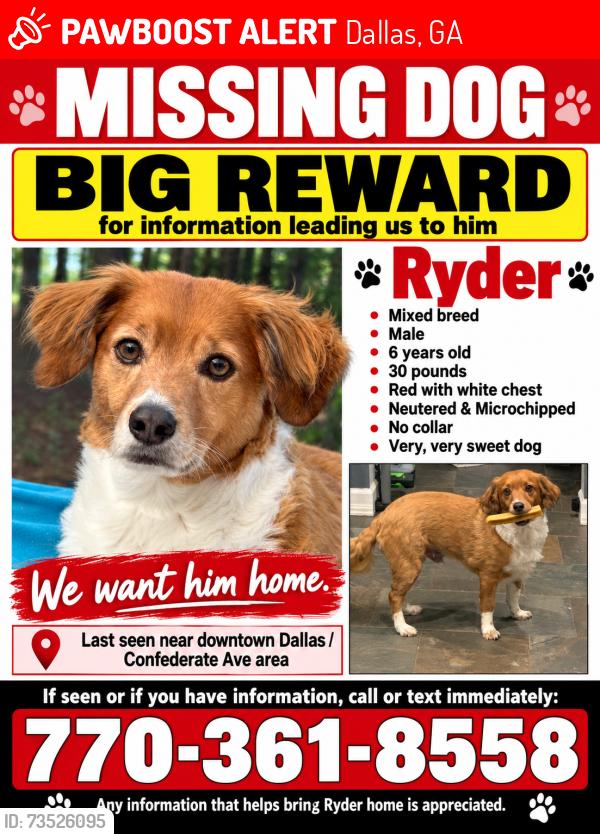 Lost Male Dog last seen Near Confederate Ave, Dallas, GA, USA, Dallas, GA 30132