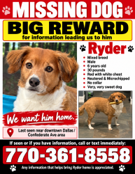 Lost Male Dog last seen Near Confederate Ave, Dallas, GA, USA, Dallas, GA 30132