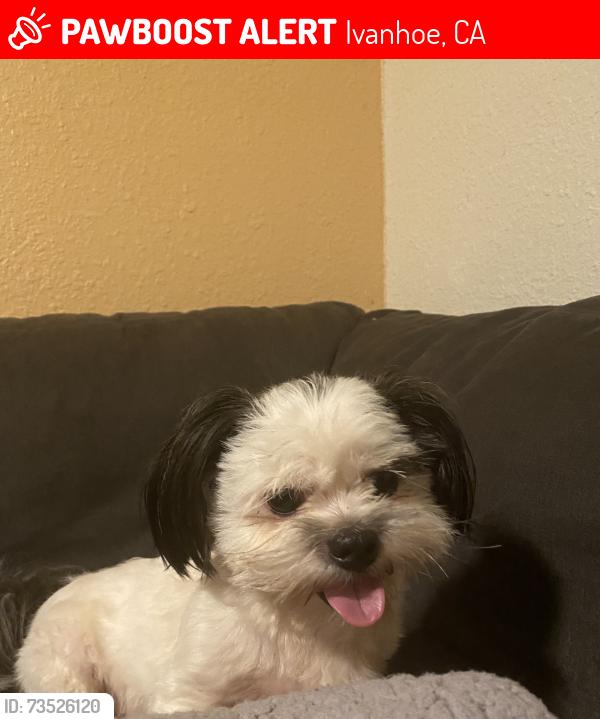Lost Male Dog last seen Alley way, Ivanhoe, CA 93235