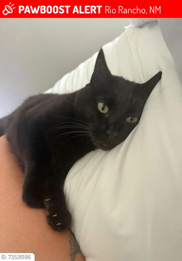 Lost Female Cat last seen Under and Southern, Rio Rancho, NM 87124