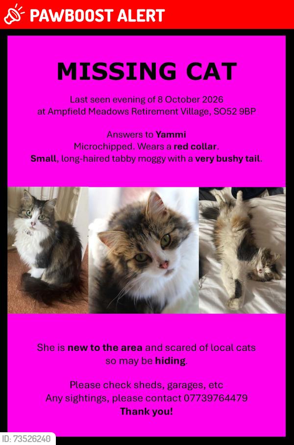 Lost Female Cat last seen Ampfield Meadows Retirement Village, Chandler's Ford, England 