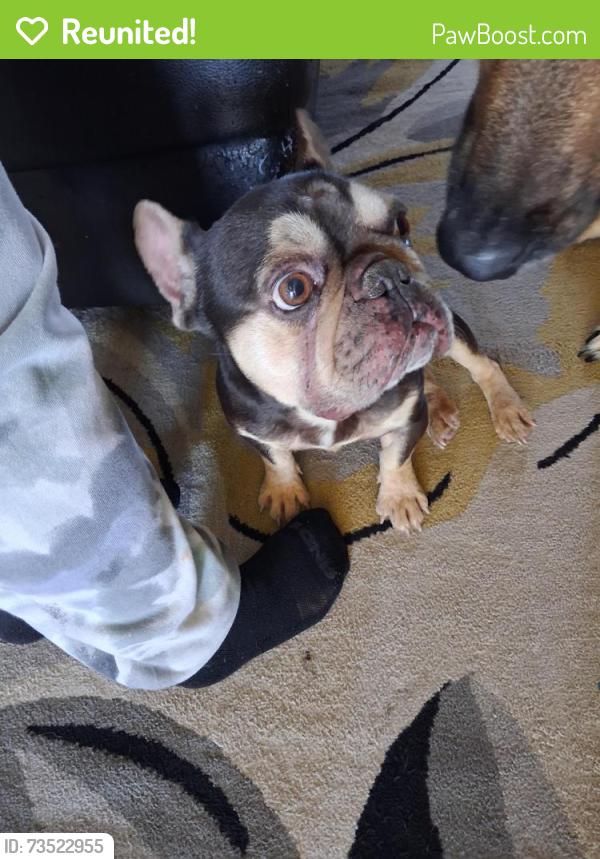 Reunited Male Dog last seen Corner of clam dr and star ave, Sebring, FL 33870