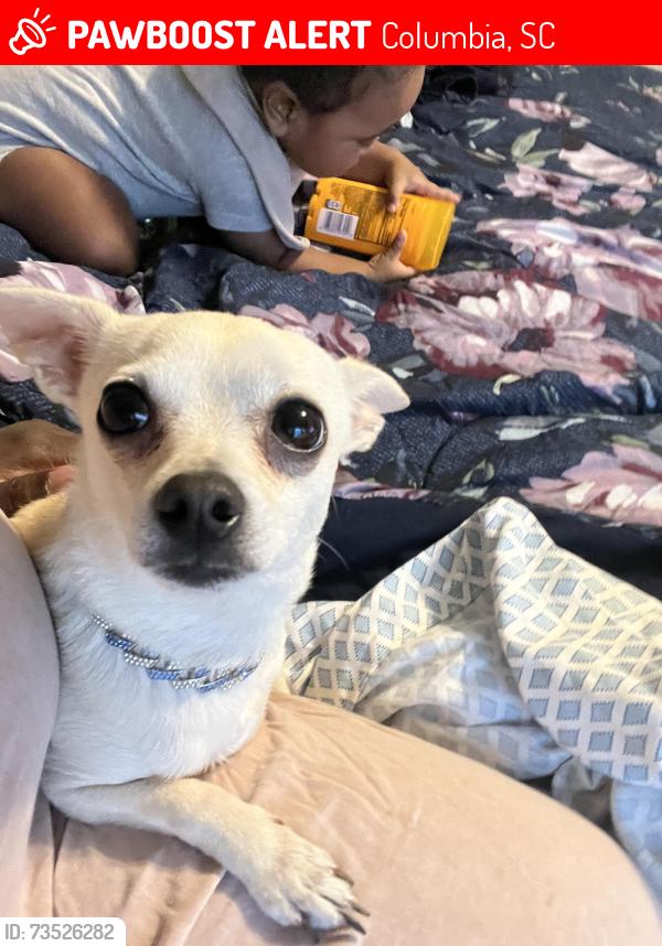 Lost Male Dog last seen Near Parkview Drive I77, Columbia, SC 29223