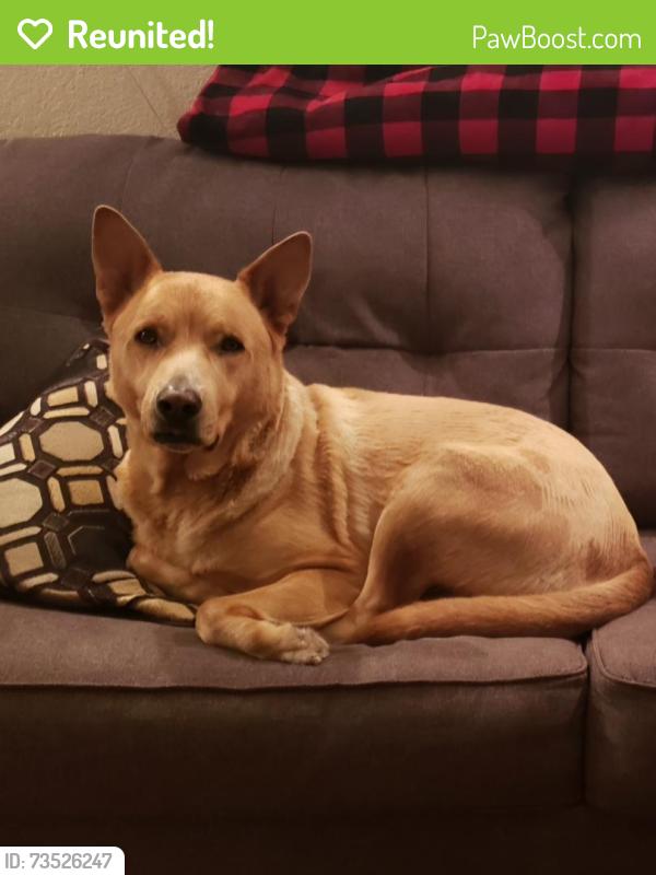 Reunited Male Dog last seen Hefner and May, Oklahoma City, OK 73120