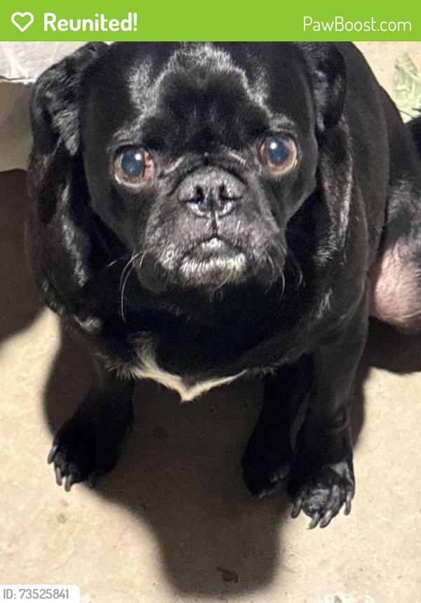 Reunited Male Dog last seen Bobby bonds park, Riverside, CA 92507