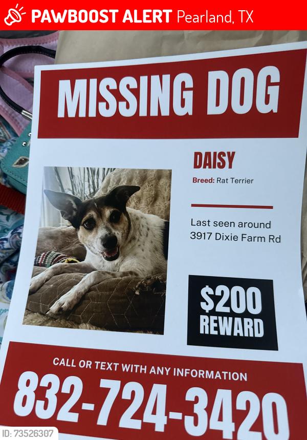 Lost Female Dog last seen Hwy 35 & Hastings Field Road, Pearland, TX 77581